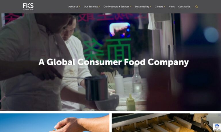 Web Designer for FKS Food & Agri - eFusion Technology
