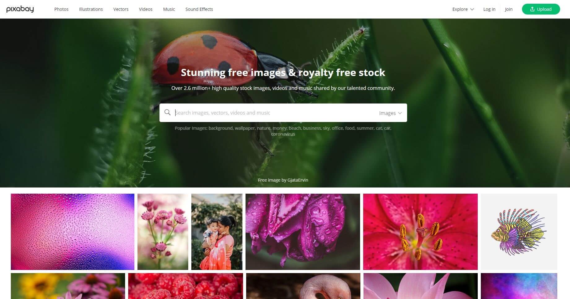 top free stock photo websites pixabay