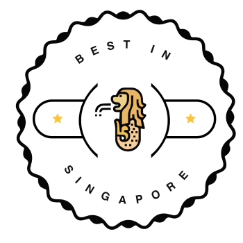 best in singapore best web developer singapore