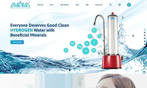 Web Development Agency for Avava - eFusion Technology