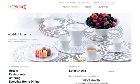 Web Designer for Landex - eFusion Technology