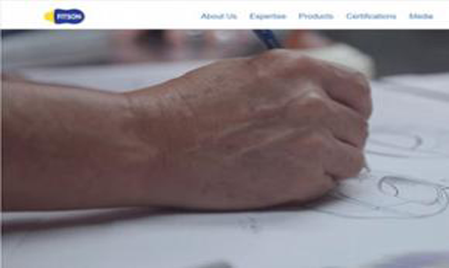 Web Development for Fitson - eFusion Technology