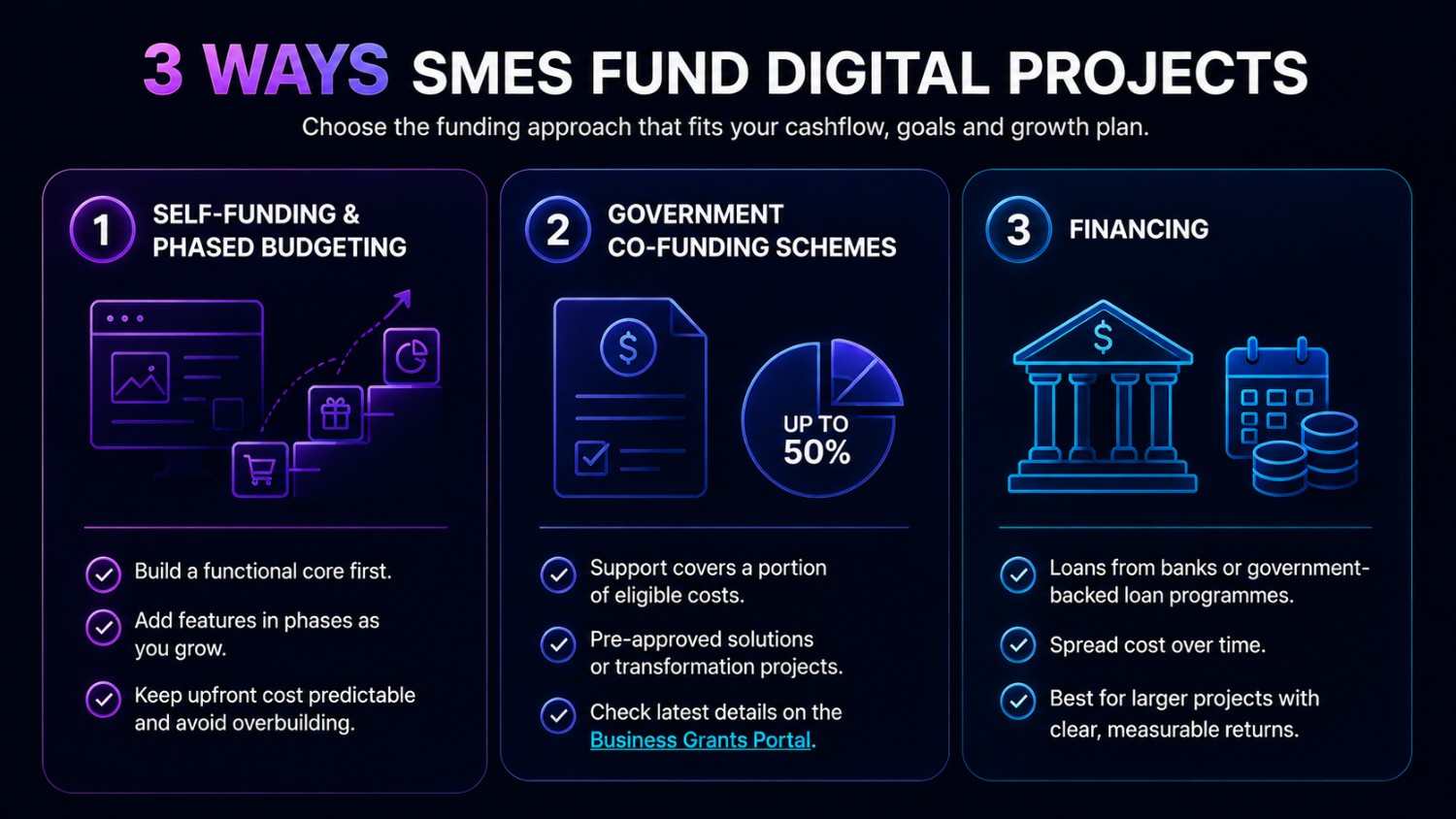Infographic showing three ways SMEs fund digital projects through self-funding, government co-funding schemes and financing options.